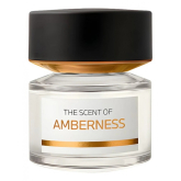 BMW AMBERNESS ПАРФЮМЕРНАЯ ВОДА 50 МЛ