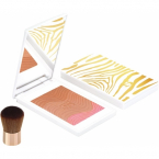 PHYTO-TOUCHE POUDRE ECLAT SOLEIL TRIO ПУДРА MIEL CANNELL 11Г